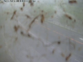 江府町佐川