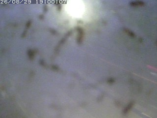江府町佐川