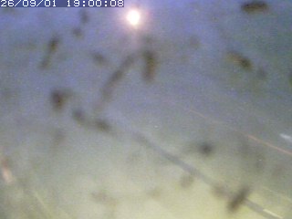 江府町佐川