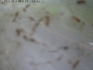 江府町佐川