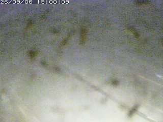 江府町佐川
