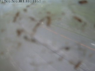 江府町佐川
