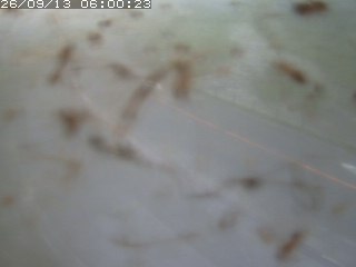江府町佐川