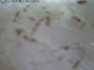 江府町佐川