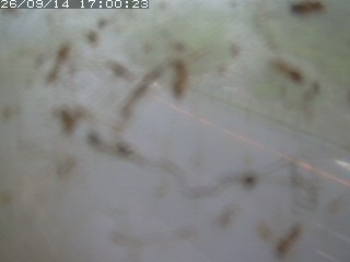 江府町佐川