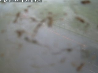 江府町佐川