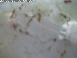 江府町佐川