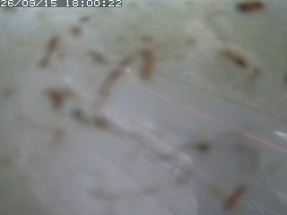 江府町佐川