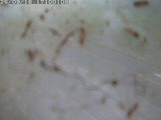 江府町佐川