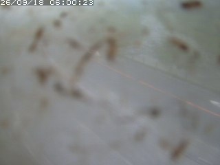 江府町佐川
