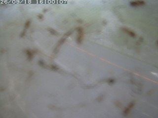 江府町佐川