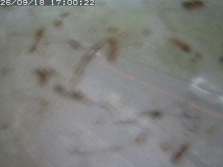 江府町佐川