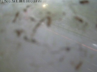 江府町佐川
