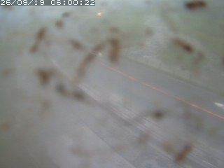 江府町佐川