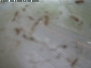 江府町佐川