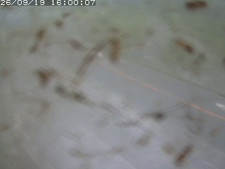 江府町佐川