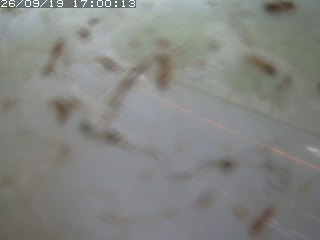 江府町佐川