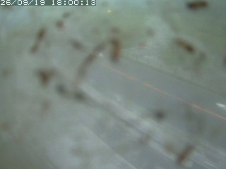 江府町佐川