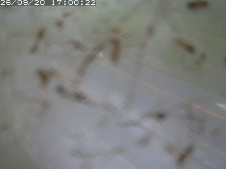 江府町佐川