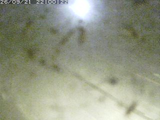 江府町佐川