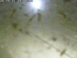 江府町佐川