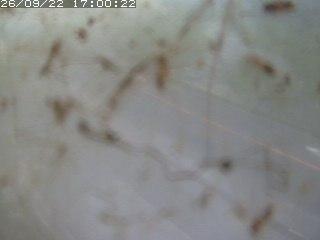 江府町佐川