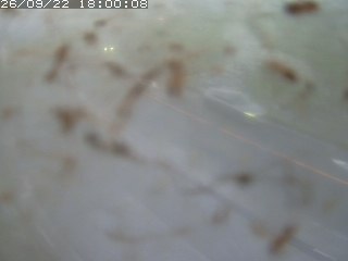 江府町佐川