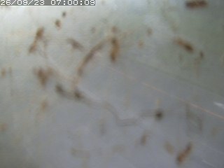 江府町佐川