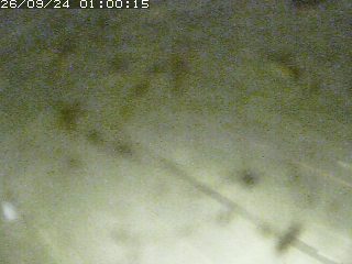 江府町佐川