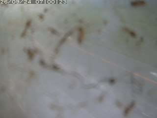 江府町佐川
