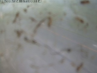 江府町佐川