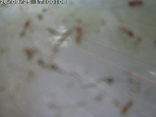 江府町佐川
