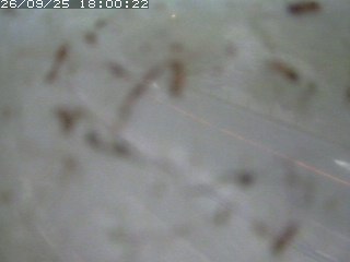 江府町佐川