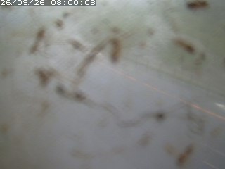 江府町佐川