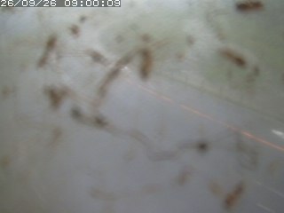 江府町佐川