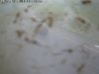 江府町佐川