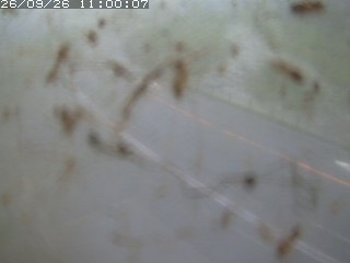 江府町佐川