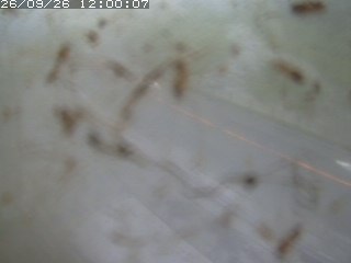 江府町佐川