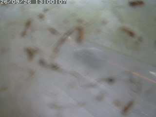 江府町佐川