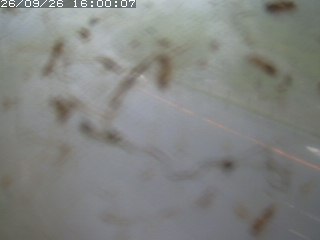 江府町佐川