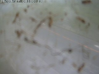 江府町佐川
