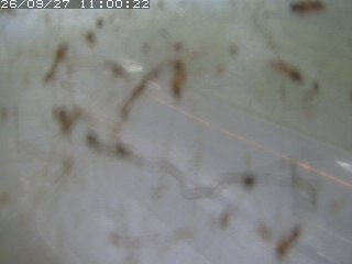 江府町佐川