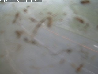 江府町佐川
