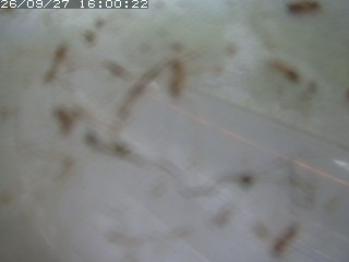 江府町佐川