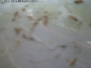 江府町佐川