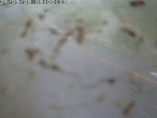 江府町佐川
