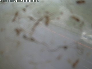 江府町佐川