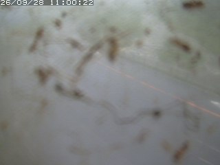 江府町佐川