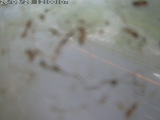 江府町佐川