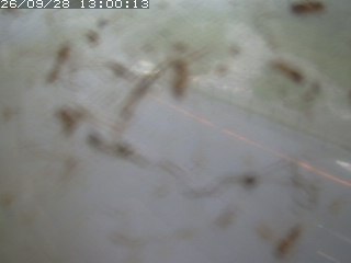 江府町佐川